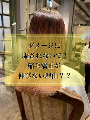 ダメージレスに騙されないで！縮毛矯正をしても伸びない理由　鹿児島美容室サンティエ