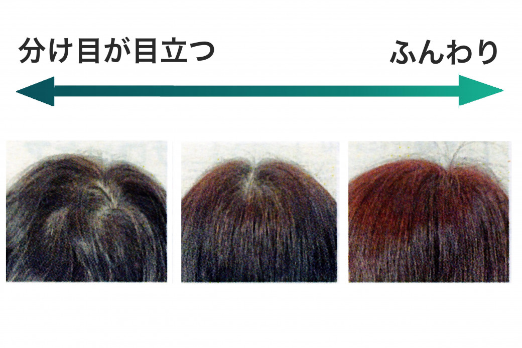新ライン オージュアソムリエが髪質を5つの方法で診断 髪質別のオススメのオージュア オージュア