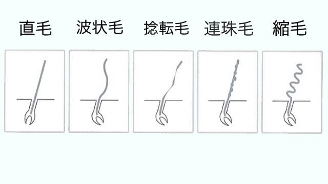 あなたの髪質はどのタイプ クセ毛の種類 縮毛矯正