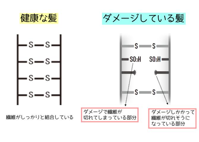 ケアブリーチの実態を徹底解説 綺麗でオシャレな髪になる為の知識と方法 表参道 青山 銀座 柏の美容室 Enore ヘアサロンエノア