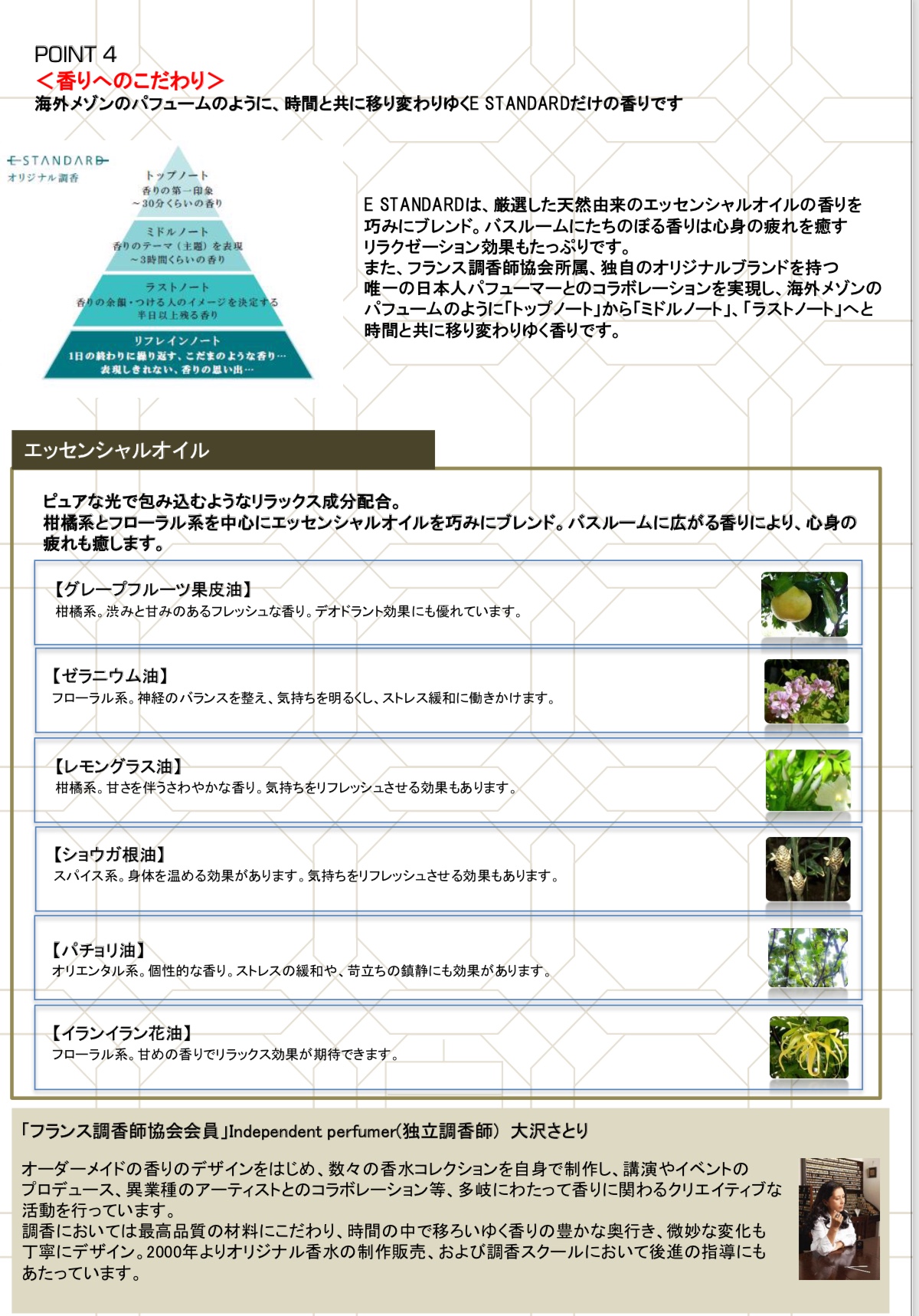 95 が美容成分でできているe Standard イイスタンダード のシャンプー 究極のヘアケアアイテムを取扱店がご紹介 イイスタンダード E Standard