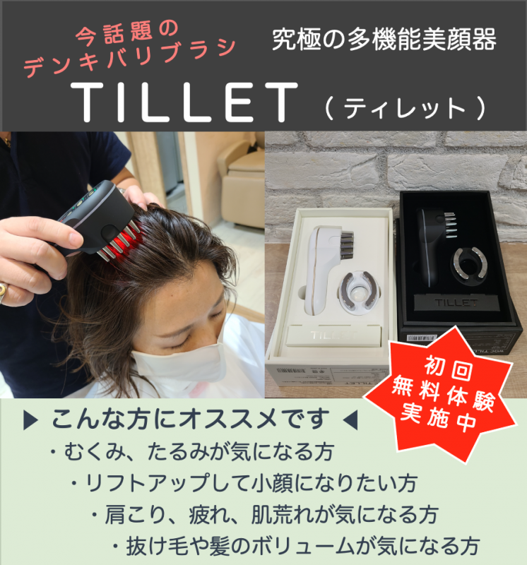 TILLET デンキバリブラシ TILLET EMS美顔器 | gulatilaw.com