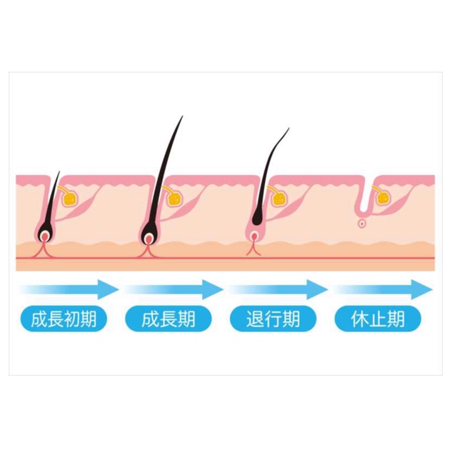 初めてのマツエク サロンに行く前に予習 マツエク