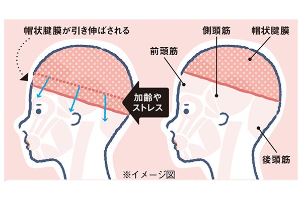 アホ毛に悩まされた美容師が本気でアホ毛を無くす対策を探してみた 表参道 青山の美容室でカット上手な 美容院 Houle Cote By Houle ウル コート の美容メディア